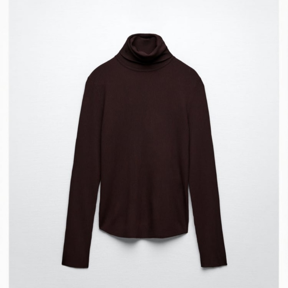Zara Knit Brown Sweater (S)